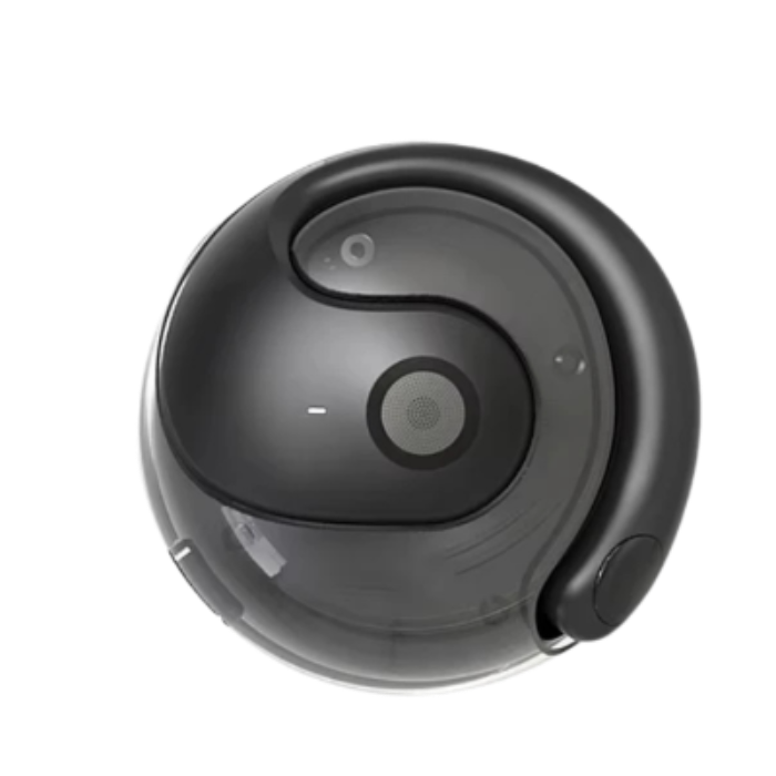 AI Translation Ear-Hook Style